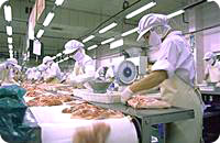 �{����؂蕪���܂�