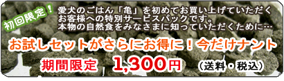 ���N�ƒ�������ړI�ɍ��ꂽ�A�V�N�ȍ��Y�h�b�O�t�[�h�u�T(����)�v