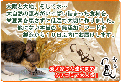 �V�N�A���Y�h�b�O�t�[�h�u�T�v�̂������p�b�N