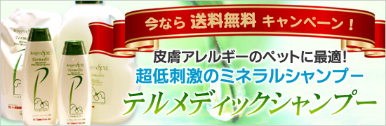 �e�����f�B�b�N�V�����v�[