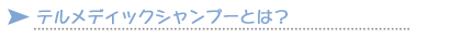 �e�����f�B�b�N�V�����v�[�Ƃ́H